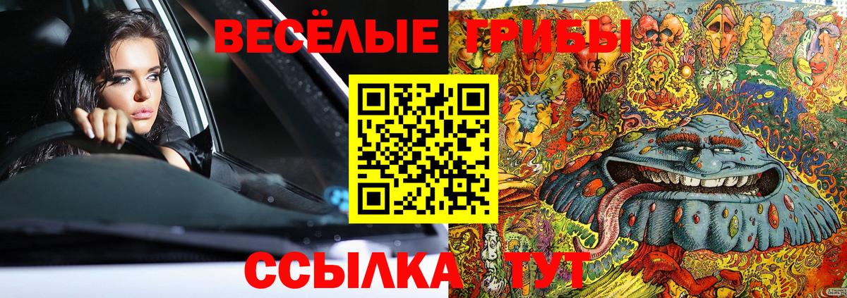 Галлюциногенные грибы Psilocybine cubensis  Галлюциногенные грибы GOLDEN TEACHER  Вход с VPN  Мичуринск 