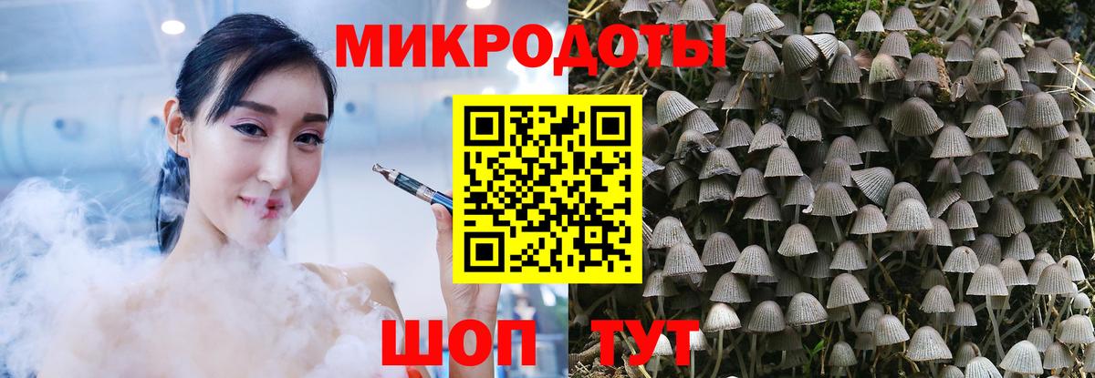 Галлюциногенные грибы Magic Shrooms Мичуринск